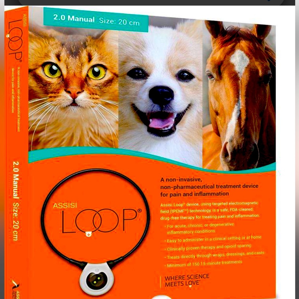 Assisi loop manual 20cm